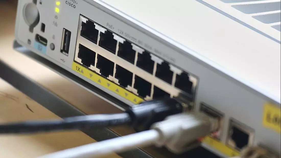 Netzwerk-Patchpanel (Archiv) - Bild: via dts Nachrichtenagentur