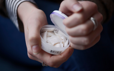 In Schweden steht «Snus» hoch im Kurs. (Symbolbild) - Foto: Paul Wennerholm/TT News Agency/AP/dpa