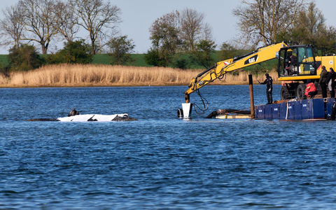 Eine private Initiative versucht seit Tagen, den Wal zu retten. - Foto: Marcus Golejewski/dpa