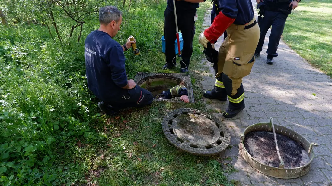 FW Stuttgart: Fuchs-Rettung in Stuttgart-Hohenheim - Bild: presseportal.de