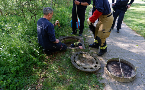 FW Stuttgart: Fuchs-Rettung in Stuttgart-Hohenheim - Foto: presseportal.de