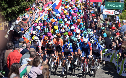 Dreimal mussten die Radprofis die bis zu 19 Prozent steile Mur von Huy hinauf. - Foto: David Pintens/Belga/dpa