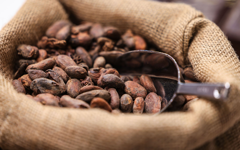 Die Kakaopreise sind zuletzt wieder gesunken. (Symbolbild) - Foto: Oliver Berg/dpa