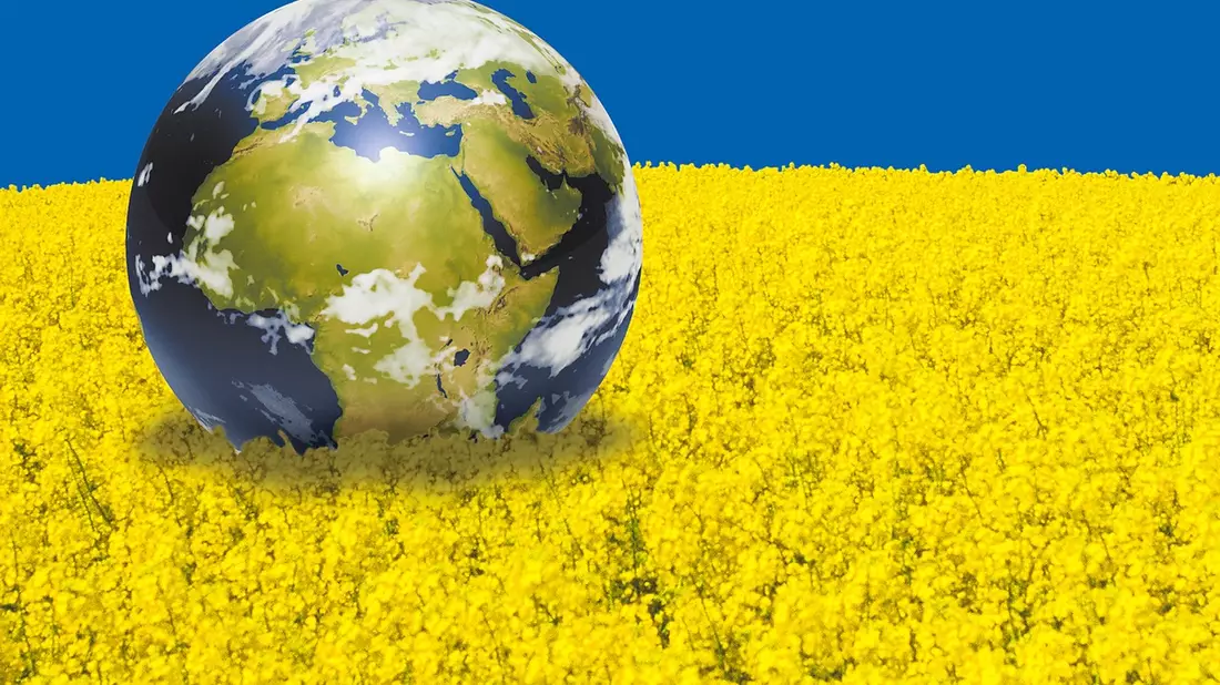 Bundestag setzt Leitplanken für Klimaschutz im Verkehr und gegen Betrug im Biokraftstoffmarkt - Bild: presseportal.de