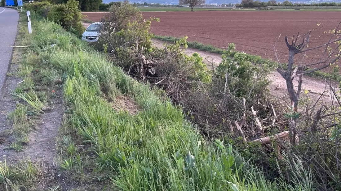 POL-PDLD: A65/AS NW-Nord - Verkehrsunfall unter Alkoholeinfluss - Bild: presseportal.de