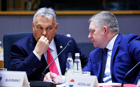 Ungarns Ministerpräsident Viktor Orban (l) und der slowakische Ministerpräsident Robert Fico blockierten gemeinsam die neuen EU-Sanktionen gegen Russland. (Archivbild) - Foto: Omar Havana/AP/dpa