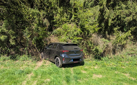 POL-PIROK: Verkehrsunfall wegen Wildschweinen, Fahrer leichtverletzt - Foto: presseportal.de