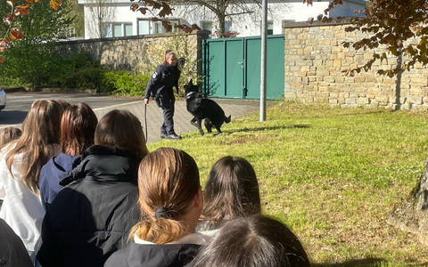 POL-PDTR: Girls' Day - Mädchen-Zukunftstag 2026 bei der Polizeiinspektion Birkenfeld - Foto: presseportal.de