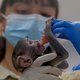 Baby Yuji wird von Pflegern im Zoo der Stadt Guadalajara versorgt.  - Foto: Fernando Carranza Garcia/dpa