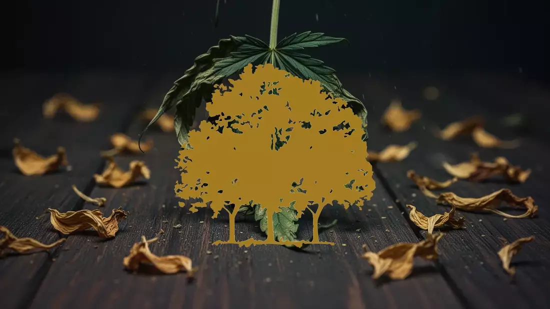 Canopy Growth: -11,59% nach Schedule-III-Schwenk - Bild: über boerse-global.de