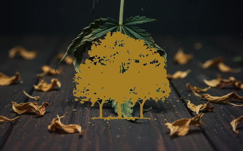 Canopy Growth: -11,59% nach Schedule-III-Schwenk - Foto: über boerse-global.de