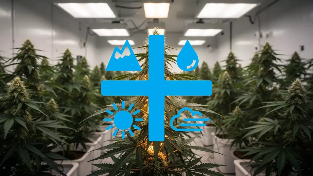 Aurora Cannabis: Schedule III rückt näher - Bild: über boerse-global.de