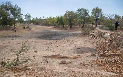 El Nino bringt Dürren in manchen Weltregionen (Archivbild) - Foto: Aaron Ufumeli/AP