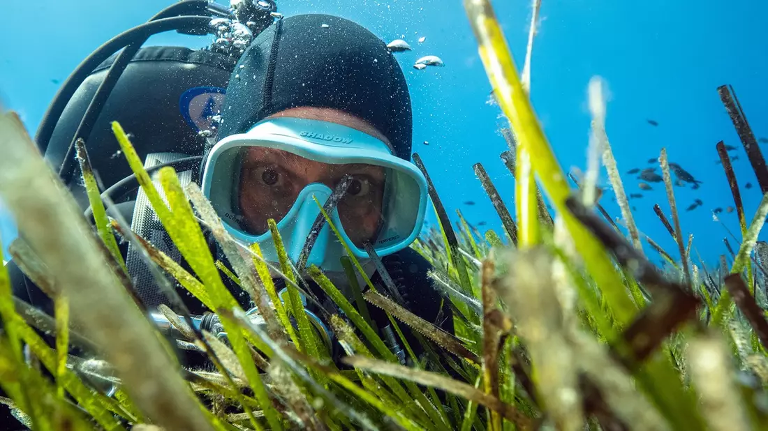 Terra X im ZDF: Uli Kunz navigiert mit den Sternen über das Meer - Bild: presseportal.de
