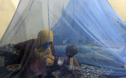 Wirksamer Schutz vor Malaria: Moskitonetze. (Archivbild) - Foto: Eva-Maria Krafczyk/dpa