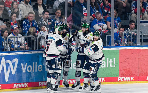 Jubeln über einen Auswärtssieg in Mannheim: die Eisbären Berlin. - Foto: Uwe Anspach/dpa