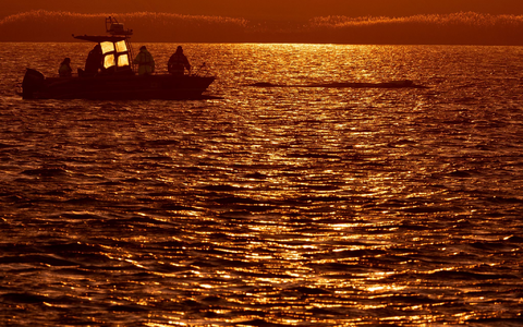 Bis in die Abendstunden arbeiteten die Helfer am Wal. - Foto: Jens Büttner/dpa