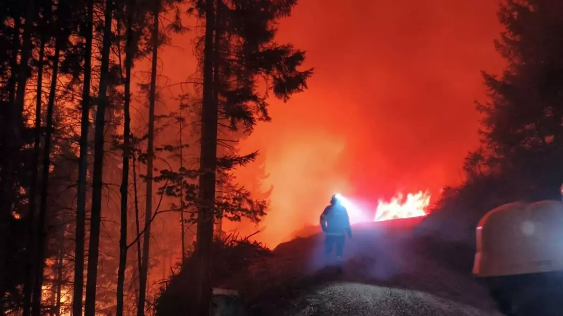 In Österreich steht eine Fläche von 110 Hektar in Flammen. - Bild: Unbekannt/FF LIESING/dpa