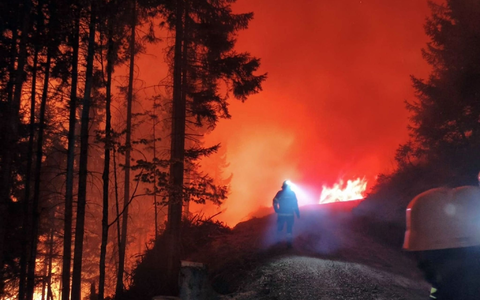 In Österreich steht eine Fläche von 110 Hektar in Flammen. - Foto: Unbekannt/FF LIESING/dpa