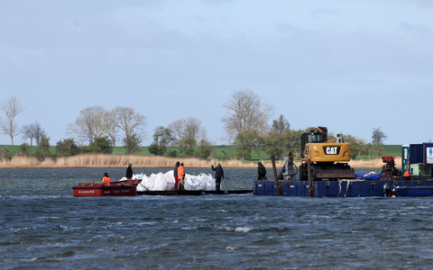 Der Wal soll nicht noch tiefer in den Flachwasser-Bereich schwimmen. - Foto: Bernd Wüstneck/dpa