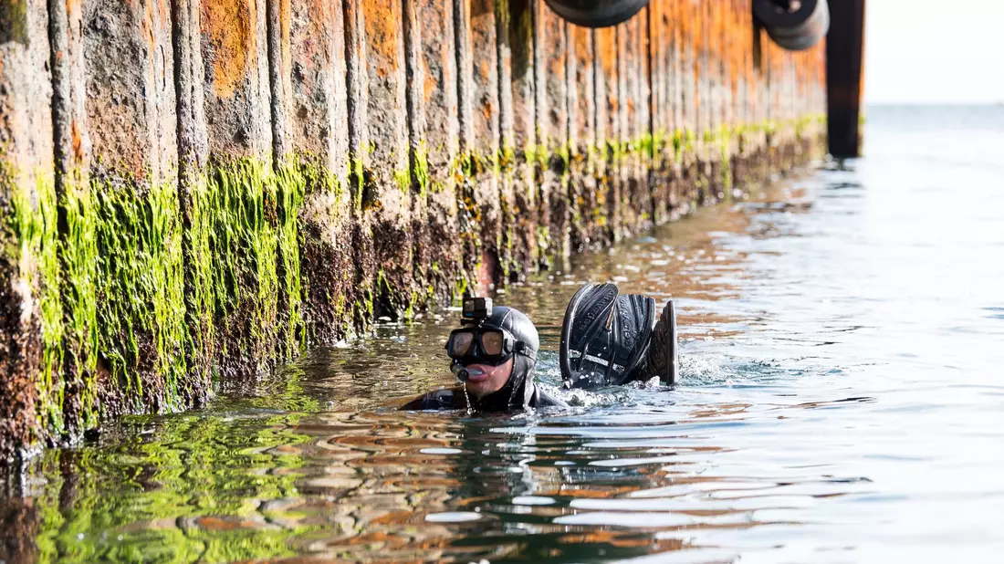 Um Minen unter Wasser unschädlich zu machen, ist der Einsatz von Minentauchern notwendig. Sie durchlaufen eine anspruchsvolle Ausbildung. (Archivbild) - Bild: Daniel Bockwoldt/dpa/Daniel Bockwoldt