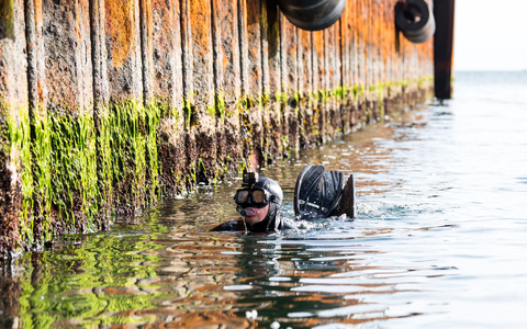 Um Minen unter Wasser unschädlich zu machen, ist der Einsatz von Minentauchern notwendig. Sie durchlaufen eine anspruchsvolle Ausbildung. (Archivbild) - Foto: Daniel Bockwoldt/dpa/Daniel Bockwoldt