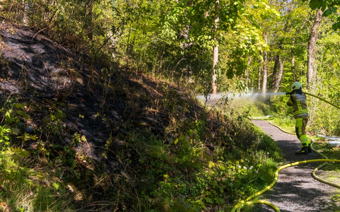 FW-MK: Flächenbrand am Lünkerhohl - Foto: presseportal.de