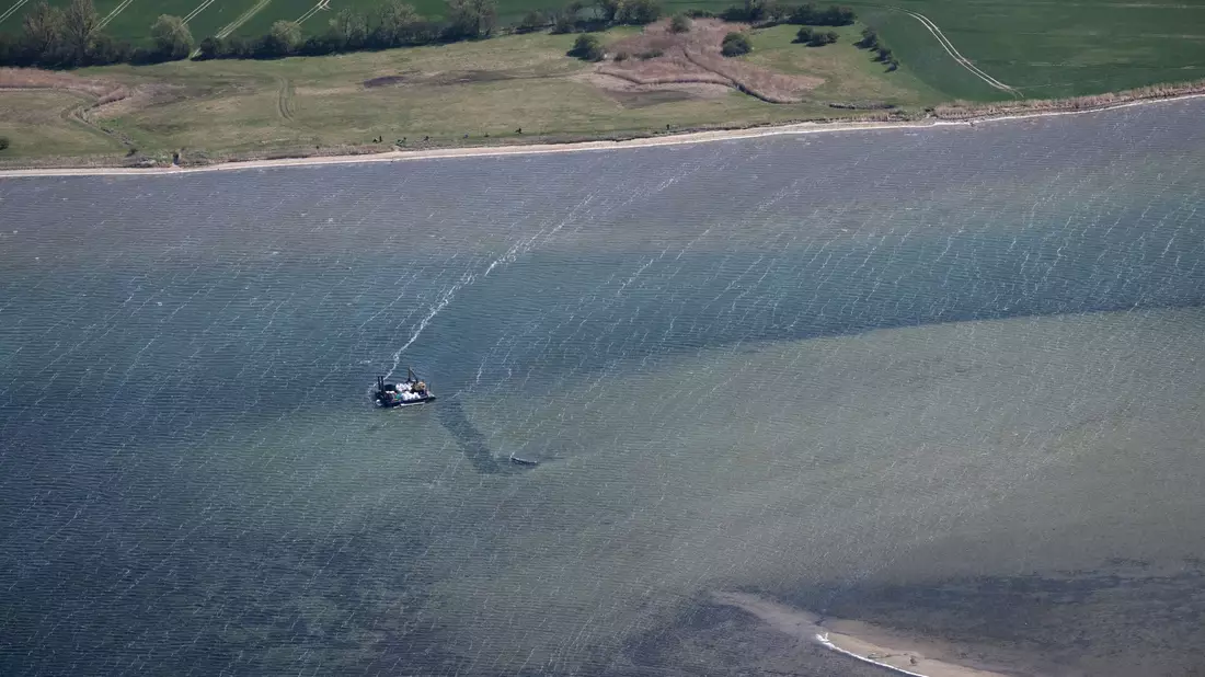 Der Wal liegt nun schon viele Wochen in Flachwasser-Bereichen. - Bild: Philip Dulian/dpa