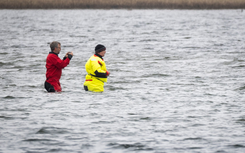 Till Backhaus läuft zum Buckelwal - Foto: Philip Dulian/dpa