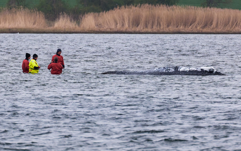 «Ich bin heute Morgen bei ihm gewesen, direkt an ihm dran», sagte Till Backhaus. - Foto: Marcus Golejewski/dpa