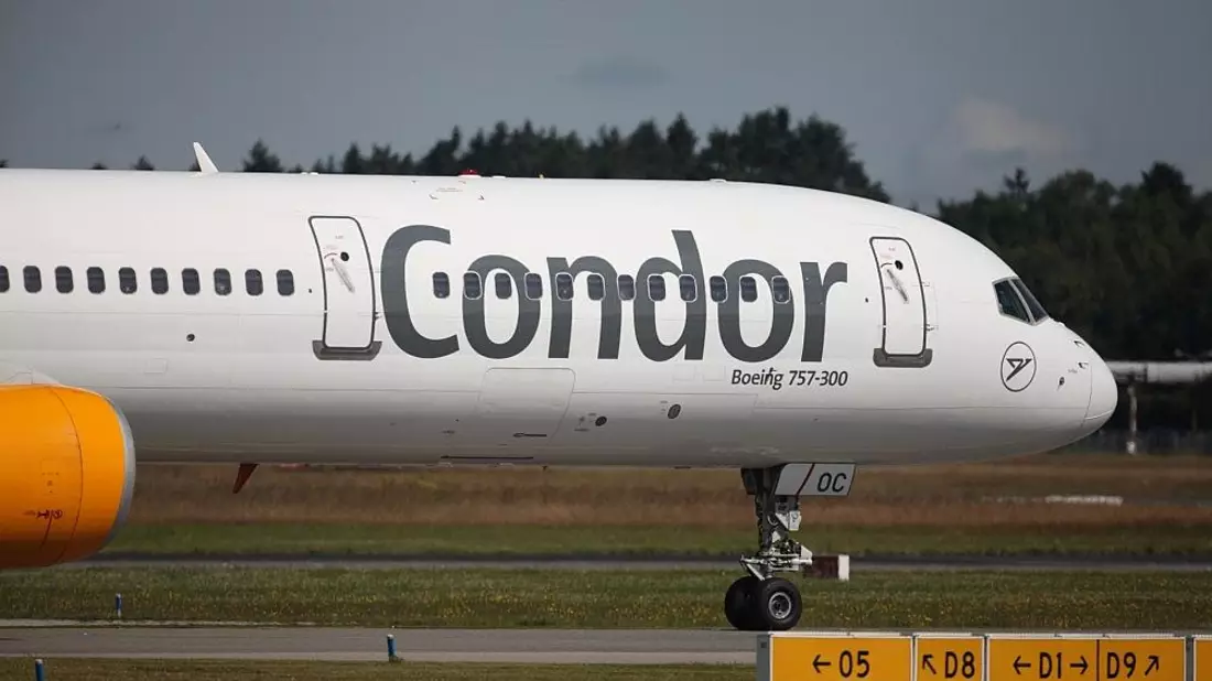 Condor (Archiv) - Bild: via dts Nachrichtenagentur