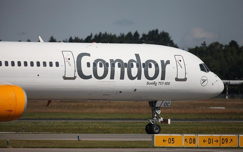 Condor (Archiv) - Foto: via dts Nachrichtenagentur