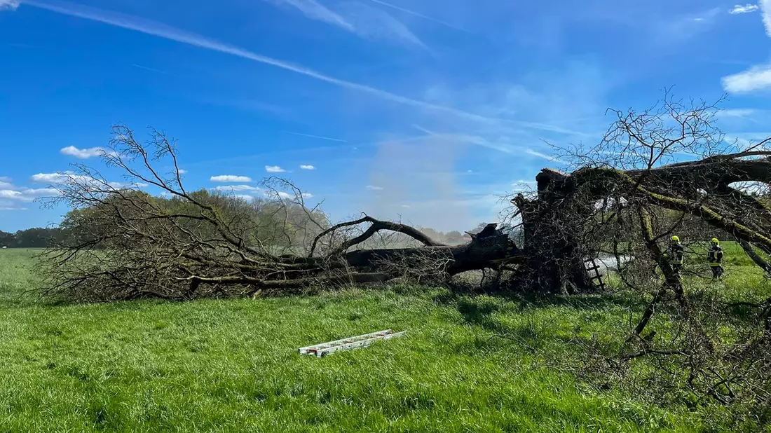 FW Flotwedel: Zwei Einsätze binnen sechs Stunden in Wienhausen - Bild: presseportal.de