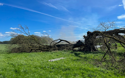 FW Flotwedel: Zwei Einsätze binnen sechs Stunden in Wienhausen - Foto: presseportal.de