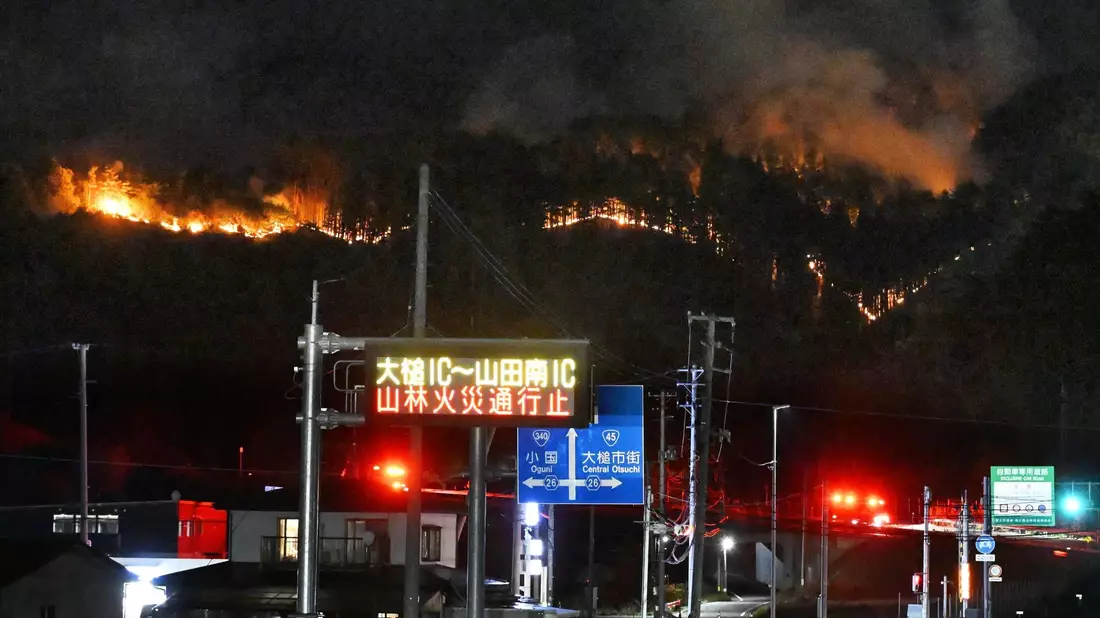 Bei den Waldbränden sind bislang keine Personen ums Leben gekommen.  - Bild: -/kyodo/dpa