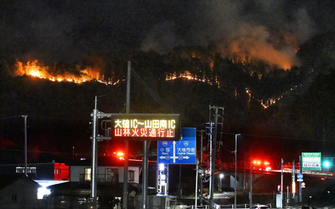 Bei den Waldbränden sind bislang keine Personen ums Leben gekommen.  - Foto: -/kyodo/dpa