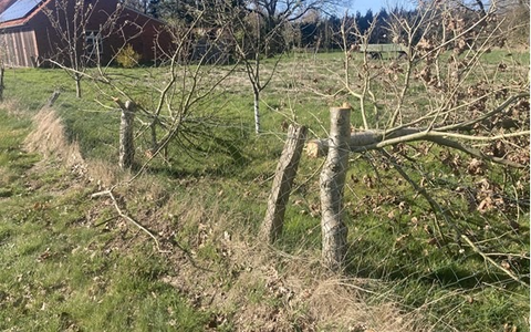 POL-EL: Sögel - Sachbeschädigung - Zeugen gesucht - Foto: presseportal.de