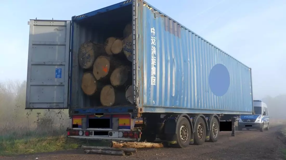 POL-OH: Zu schwer und falsch beladen - Sattelzug mit Eichenstämmen konnte Holzlagerplatz nicht verlassen - Bild: presseportal.de