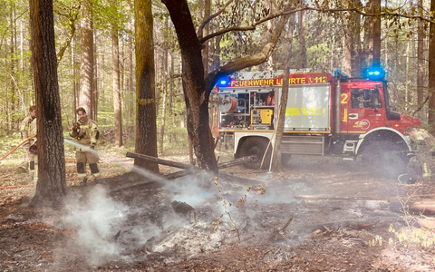 FW Lehrte: Feuer im Wald bei Ahlten - Foto: presseportal.de