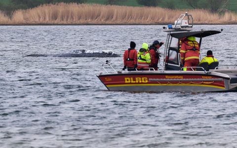 Die DLRG will am Mittwoch aus Kirchdorf auf Poel abziehen. - Foto: Marcus Golejewski/dpa