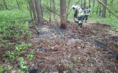 FW Hünxe: Vegetationsbrand in Drevenack - Foto: presseportal.de