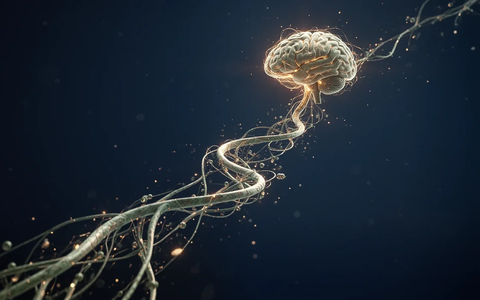 Demenzforschung: Neue Hoffnung auf Besserung im Alter - Foto: über boerse-global.de