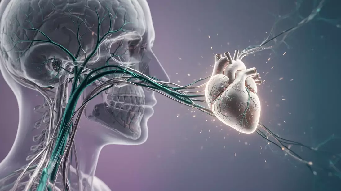 Vagusnerv-Stimulation: Neue Hoffnung bei Alzheimer und Long Covid - Bild: über boerse-global.de