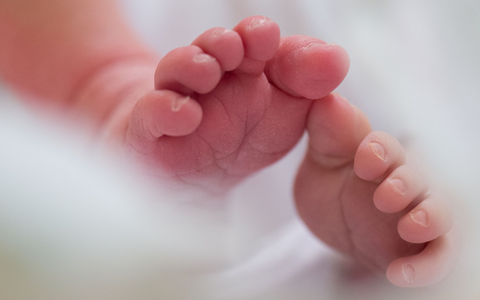 Rund 654.300 Babys wurden vergangenes Jahr in Deutschland geboren (Symbolbild). - Foto: Arno Burgi/dpa-Zentralbild/dpa