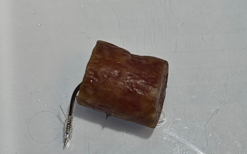 POL-WL: Wurststücke mit Angelhaken versehen und ausgelegt - Polizei bittet Hundehalterinnen und Hundehalter um Vorsicht - Foto: presseportal.de