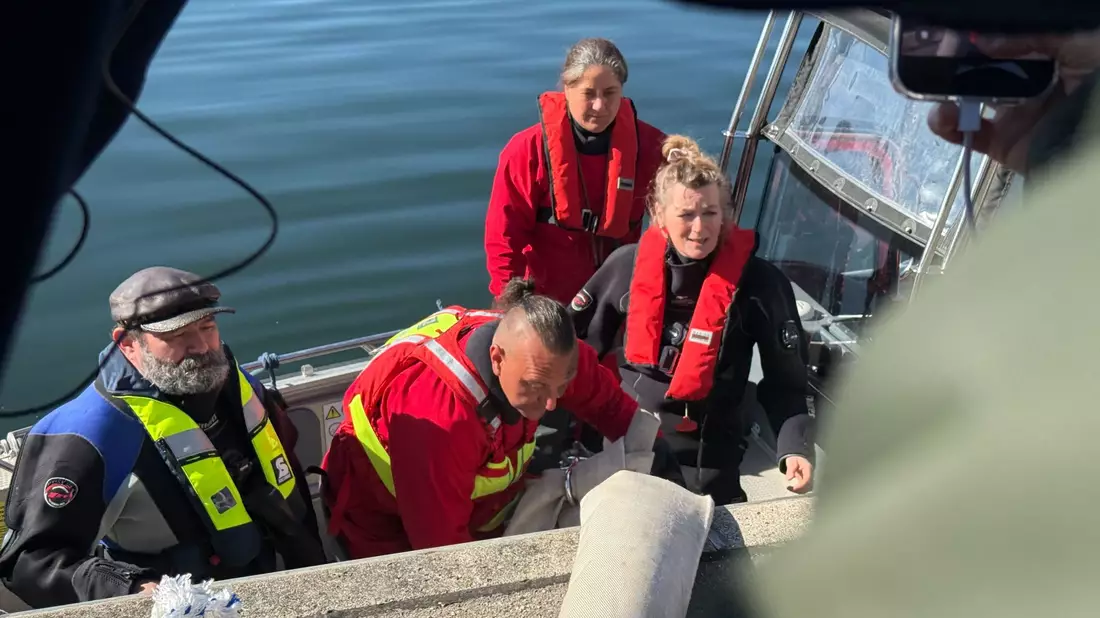 Helfer besteigen ein Boot, um zum Wal hinauszufahren.  - Bild: Helena Dolderer/dpa
