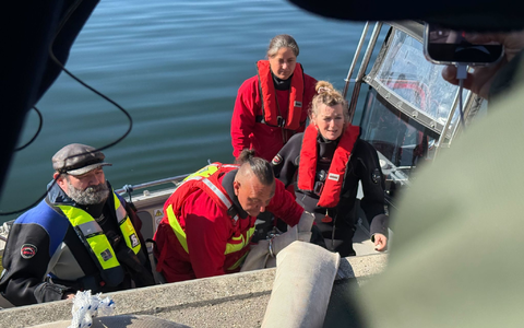 Helfer besteigen ein Boot, um zum Wal hinauszufahren.  - Foto: Helena Dolderer/dpa