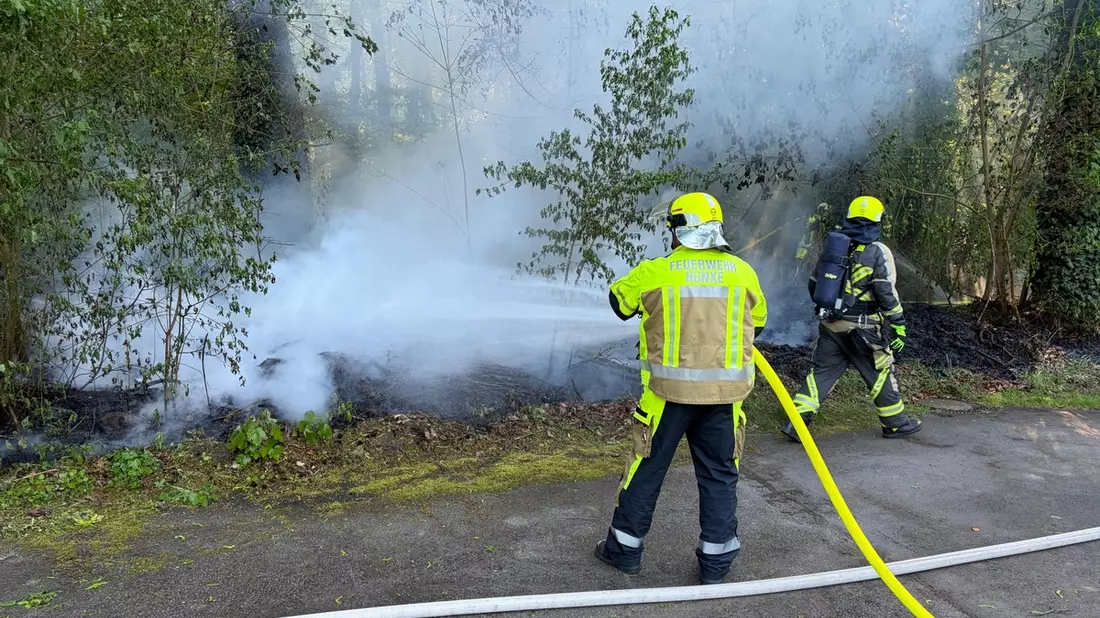 FW Hünxe: Brand in einem Waldstück - Bild: presseportal.de