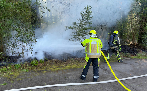FW Hünxe: Brand in einem Waldstück - Foto: presseportal.de