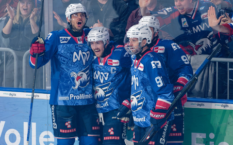 Die Adler jubelten früh. - Foto: Uwe Anspach/dpa